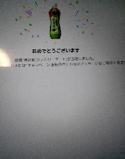 コカ・コーラ綾鷹特選茶