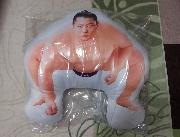 遠藤関グッズプレゼントキャンペーン