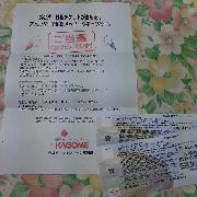 野球観戦チケット　ペア