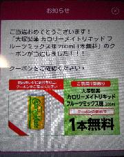 大塚製薬カロリーメイトドリンクフルーツ味