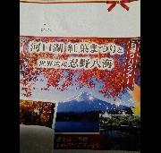 河口湖紅葉まつりと世界遺産忍野八海日帰りバスツアー