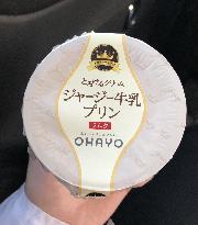 オハヨー とろけるクリーム ジャージー牛乳プリン