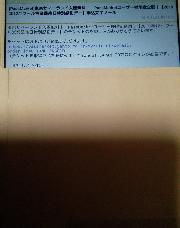 東京サマーランド入場券ペア