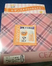 オリジナルマスクケース