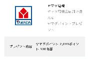 ヤマダポイント