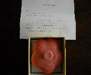 LE CREUSET　ラムカン・フルール