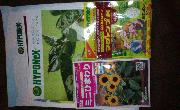 ひまわりのタネ・肥料 