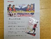 オリジナルトレーディングカード　3枚