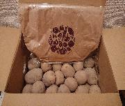 じゃがいも & ランチバック