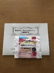 ロリエきれいスタイル超吸ランジェリーライナー　フローラルブーケの香り