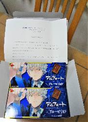 アルフォートミニチョコレート限定パッケージ　10枚