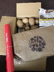 カルビー大収穫祭2020