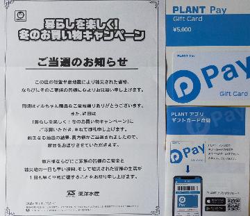 PLANTペイ 5000円分