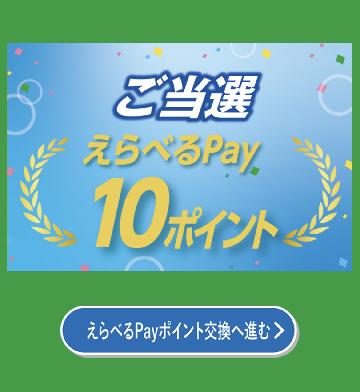 B賞選べるpay10ポイント
