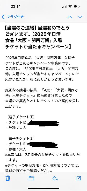 大阪関西万博　入場チケット　2名分