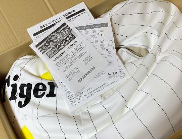 【Aコース】どんな応援ポーズも 