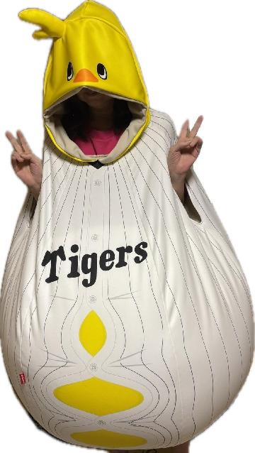 【Aコース】どんな応援ポーズも "まるっと" 受け止めたる! 限定着るビーズクッション