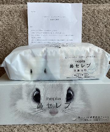 鼻セレブ詰め合わせ