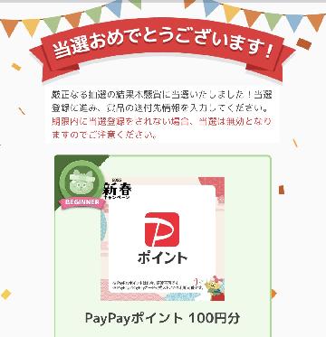 PayPayポイント 100円分