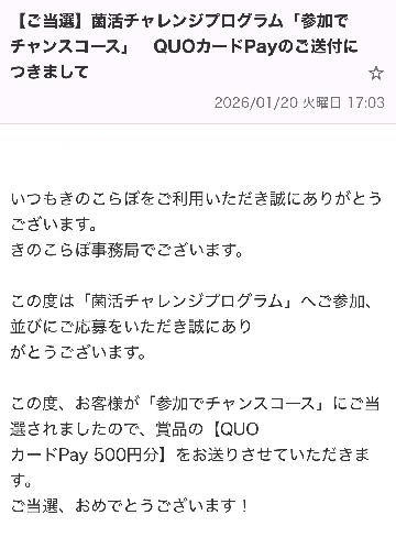 QUO カードPay 500円分