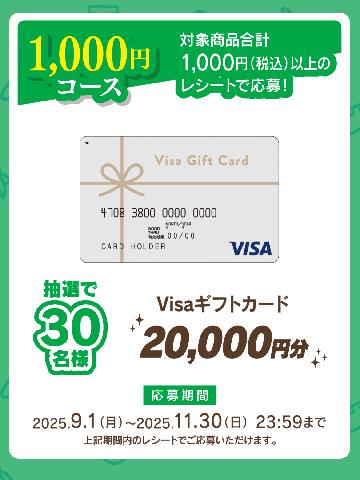 Visaギフトカード 20,000円分 
