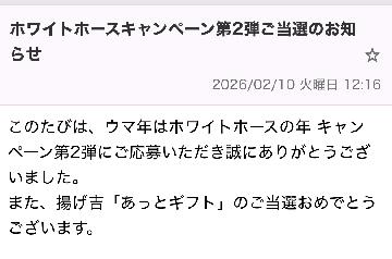 揚げ吉 あっとギフト 500円分