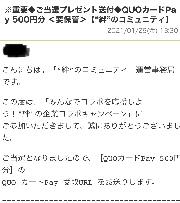 QUOカードPay 500円分