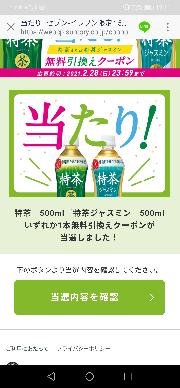 特茶　500ml 