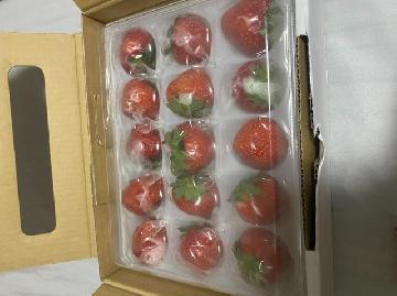 青森県のギフト