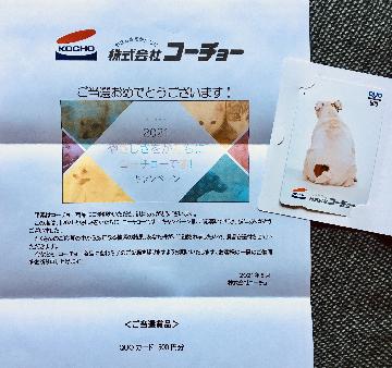 QUOカード500円分