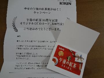 オリジナルQUOカード500円分