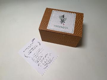 スタンダードエココース