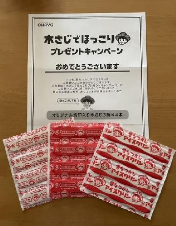 オリジナル焼印入り木さじ3柄×4本