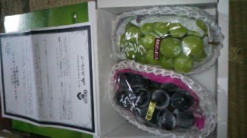 高級ぶどう詰め合わせ