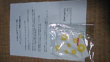 パインアメマスク