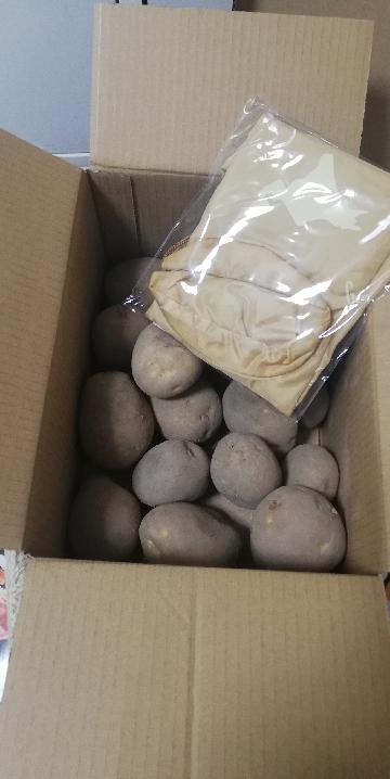 じゃがいも　エコバック