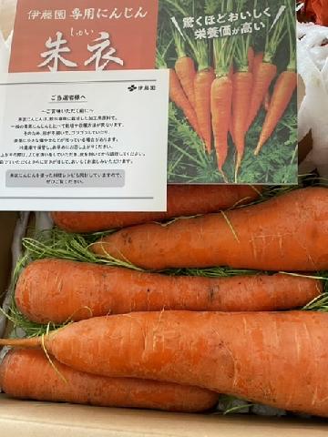 伊藤園専用にんじん朱衣（しゅい）青果5本セット