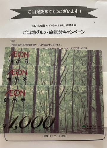 B賞　イオン商品券　3,000円分