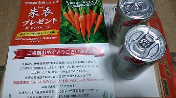 伊藤園専用にんじん朱衣100%ジュース20本セット     