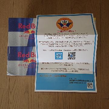 レッドブル エナジードリンク２５０ml 1ケース