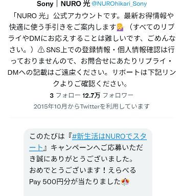 えらべるPay500円分