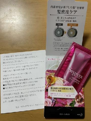 セグレタトリートメント