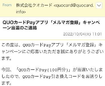 「QUOカードPay(100円分)」