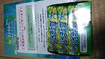 ハイチュウ〈グリーンアップル〉12本セット