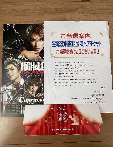 宝塚歌劇宙組公演ペアチケット