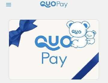 QUOカードPay 500円分