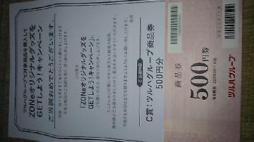 ツルハグループ商品券500円分