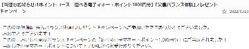 選べる電子マネー・ポイント1000円分