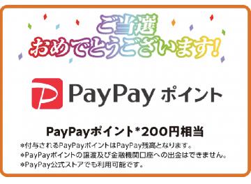 PayPayポイント　200円相当
