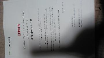 フルーティーリッチ トロピカルフルーツ&ティー １ケース